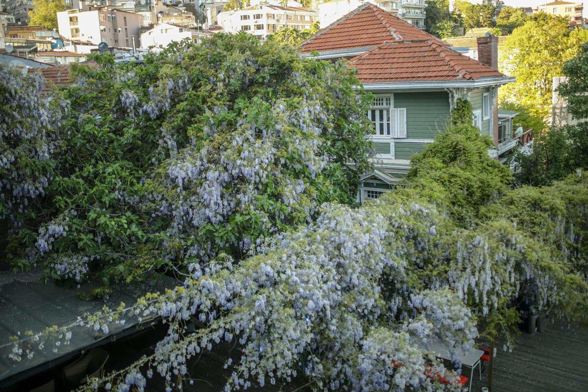 Loop Hotel Bosphorus อิสตันบูล ภายนอก รูปภาพ